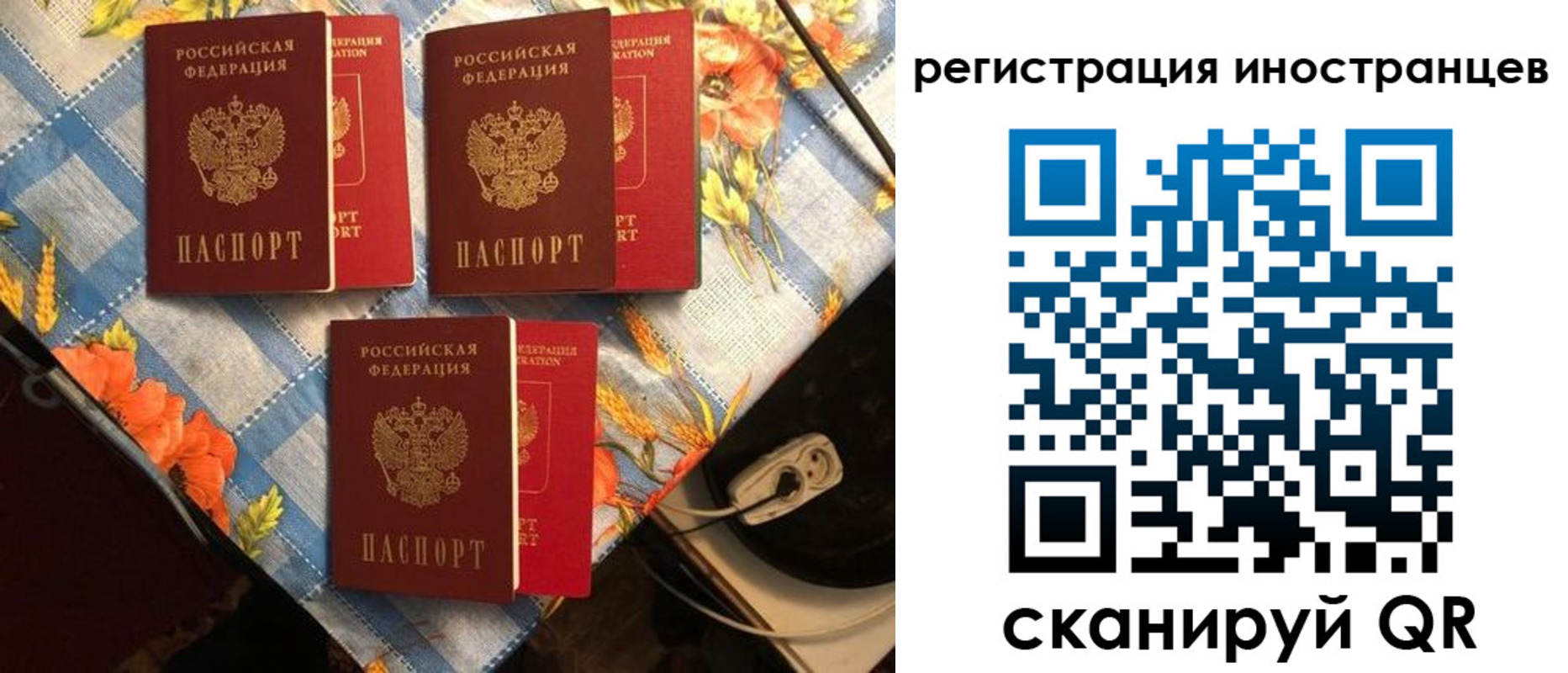 прописка поиск в Козловке